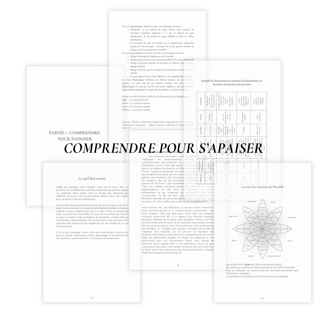 DIGITAL - Journal hyperphagie