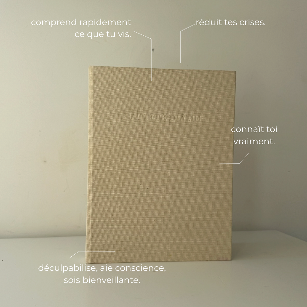 Carnet d'apaisement hyperphagie
