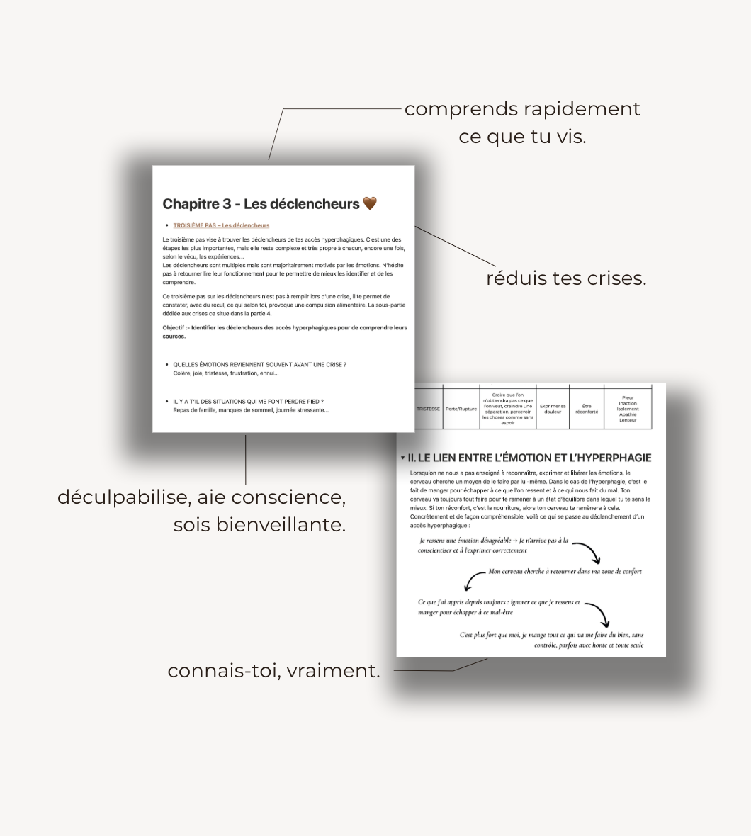Carnet d'apaisement hyperphagie - numérique
