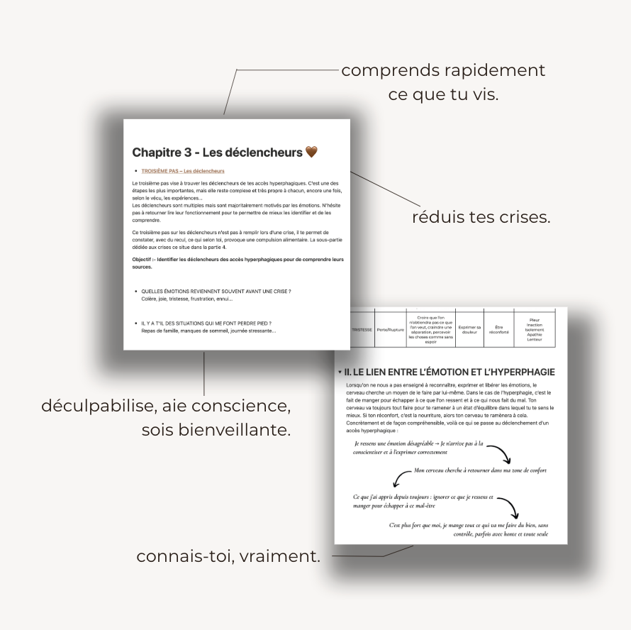 Carnet d'apaisement hyperphagie - numérique