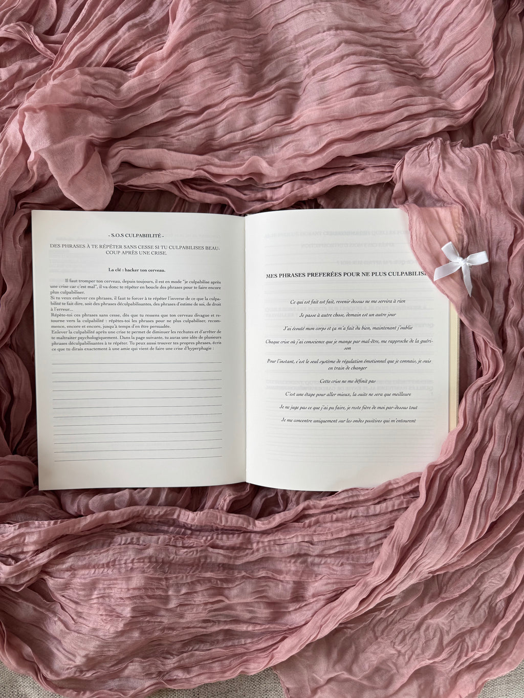 Carnet d'apaisement hyperphagie