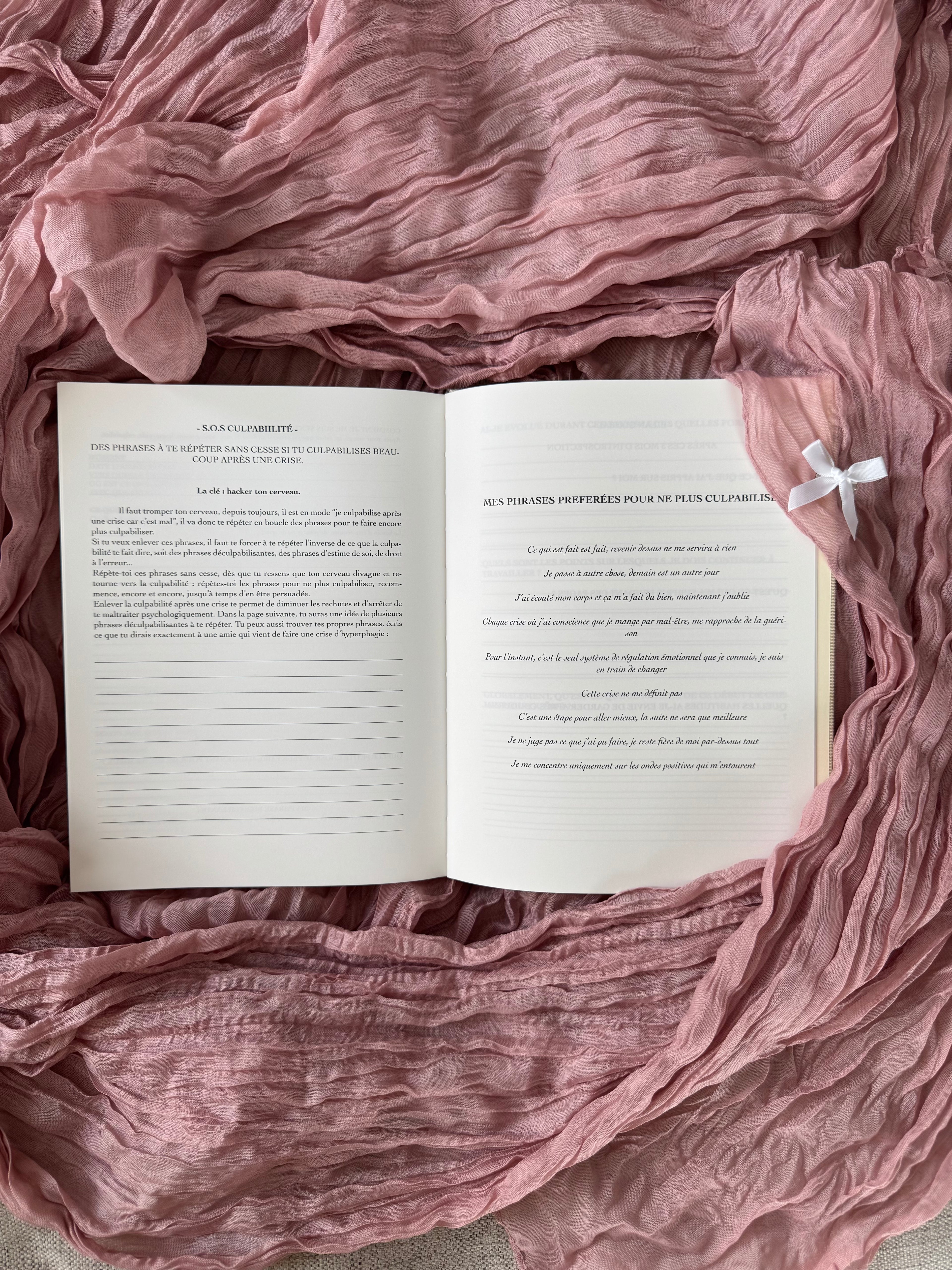 Carnet d'apaisement hyperphagie